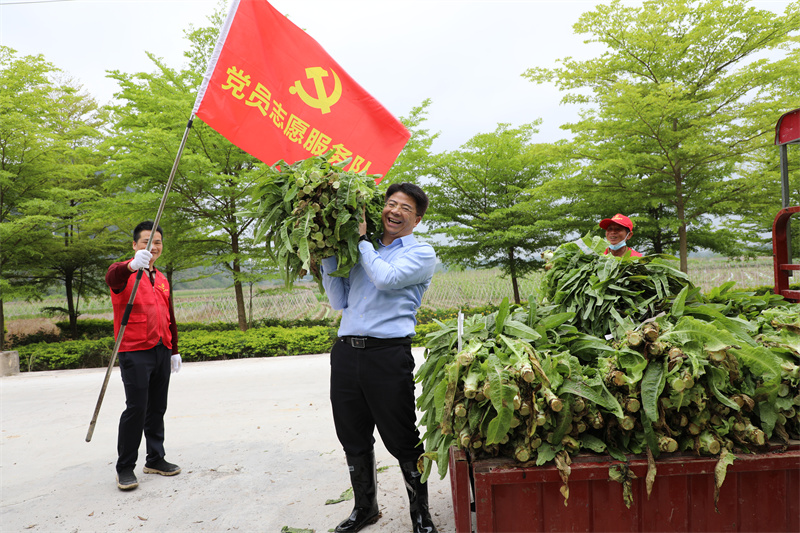 /QJ_941197200741.jpg 韦义勇帮助农户搬运莴笋.jpg