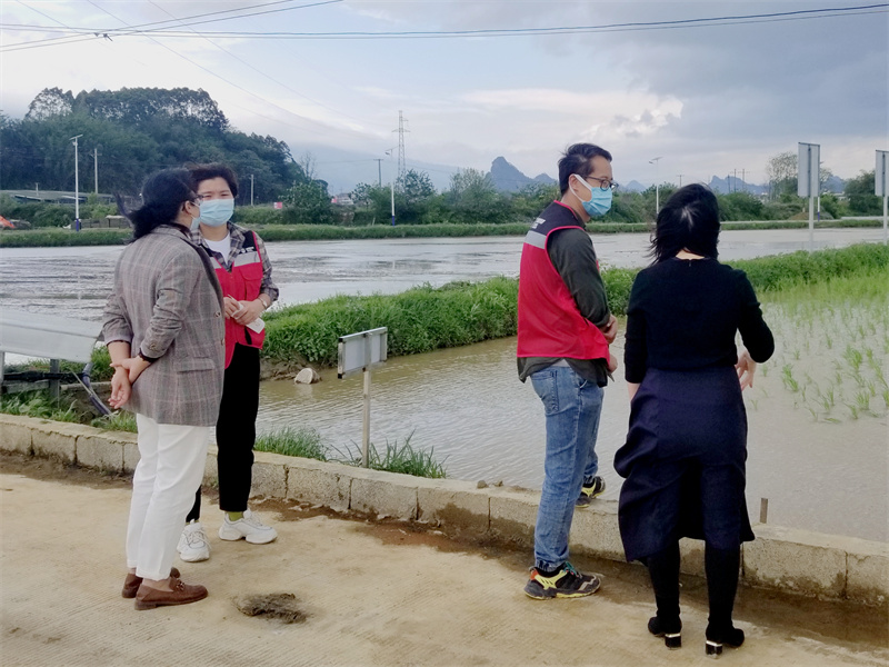 /QJ_964608478417.jpg 赴大米种植基地调研(罗茂坚摄).jpg